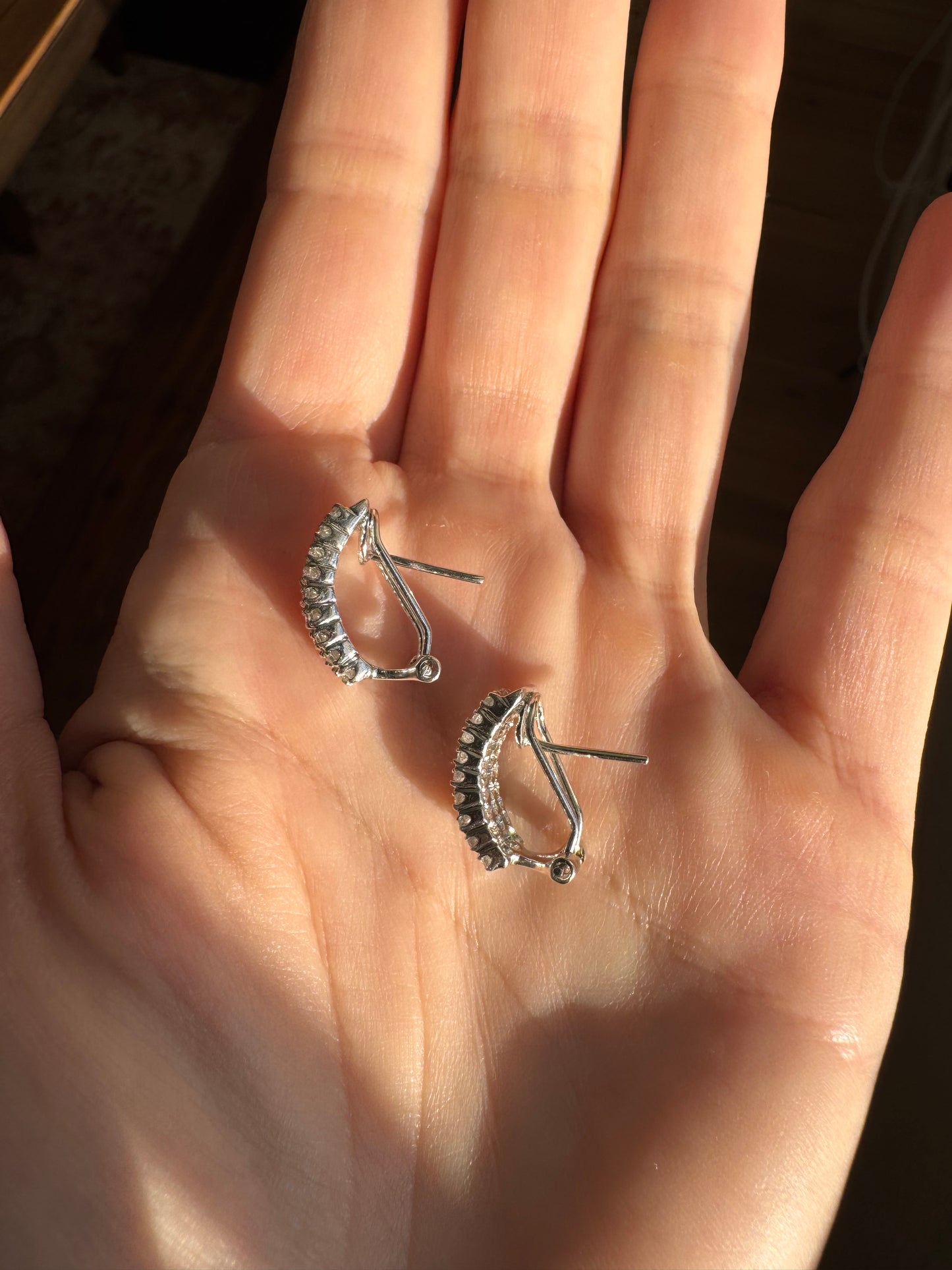 14k White Gold Diamond Earrings, Omega Backs